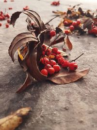 High angle view of fruits on table