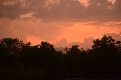 Silhouette trees against sky during sunset