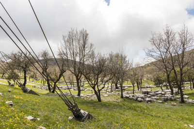 Bare trees on field against sky