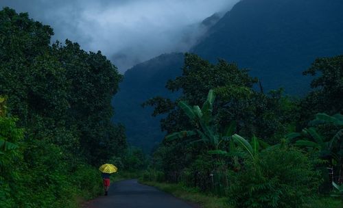 Road amidst trees and plants against sky