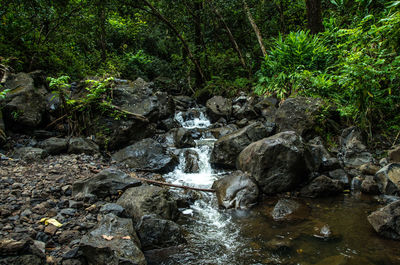 Scenic view of waterfall