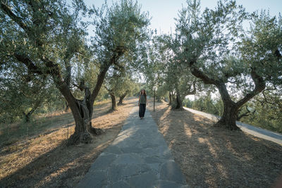 Rear view of man walking on road amidst trees