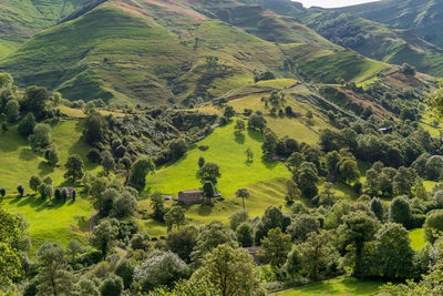 High angle view of agricultural field