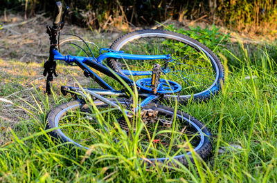 Bicycle in grass