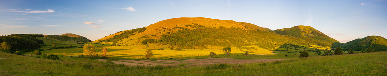 landscape