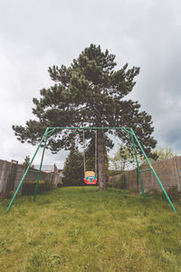 Trees growing in park