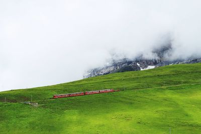 Scenic view of grassy field against sky