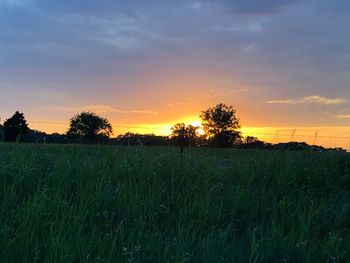 Scenic view of field against sky during sunset