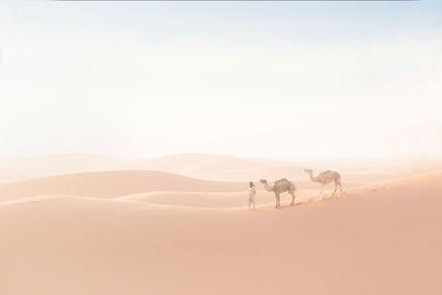 People riding horse in desert against sky