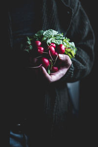 Midsection of person holding radishes at home