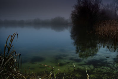 Scenic view of lake by trees against sky