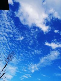 Low angle view of trees against blue sky