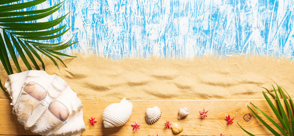 View of seashell on beach