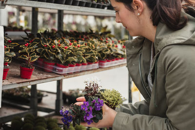 Serious adult florist in casual clothes holding houseplant with green leaves and purple buds and choosing new flower to buy while standing beside showcase in spacious contemporary greenhouse