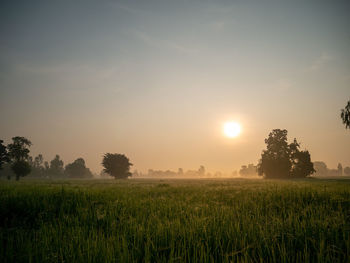 Scenic view of field against sky during sunset