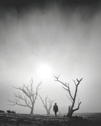 Silhouette of bare tree by sea against sky