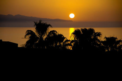 Silhouette palm trees by sea against romantic sky at sunset