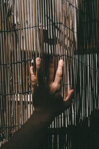 Close-up of human hand in cage