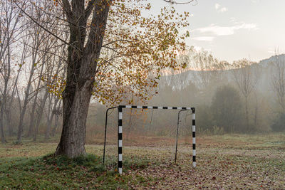 Trees on field against sky with a soccer goal