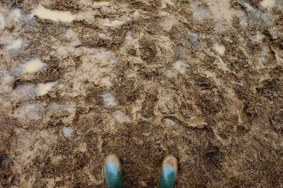 Low section of person wearing rubber boots standing on muddy field