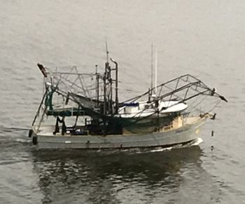 Boats in sea