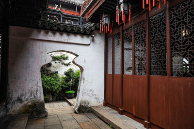 Potted plants on window of building