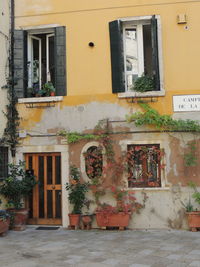 Potted plant on window of building