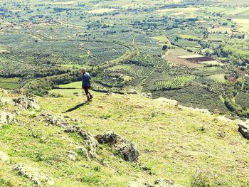 High angle view of man walking in field