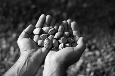 Close-up of hand holding berries