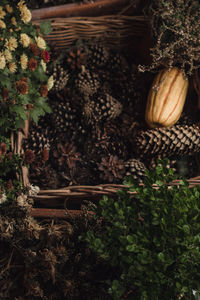 High angle view of vegetables in basket