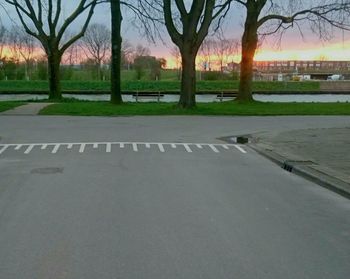 Bare trees in park