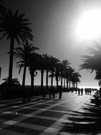 Silhouette palm trees in city against clear sky