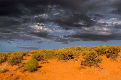 Scenic view of field against sky