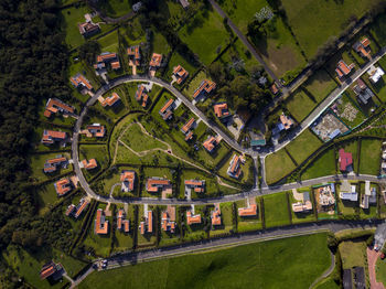 High angle view of trees and houses in city