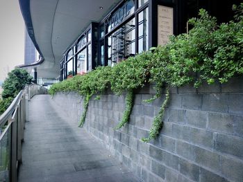 Footpath by wall and buildings in city