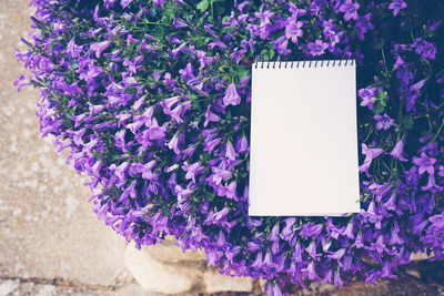 Close-up high angle view of blank spiral notebook on purple flowering plants