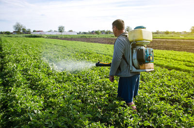 A farmer with a mist fogger sprayer sprays fungicide and pesticide on potato bushes. protection