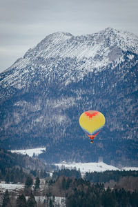 Hot air balloons flying over sea against sky