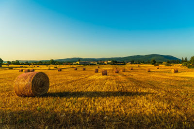 Hay bales on field against clear sky