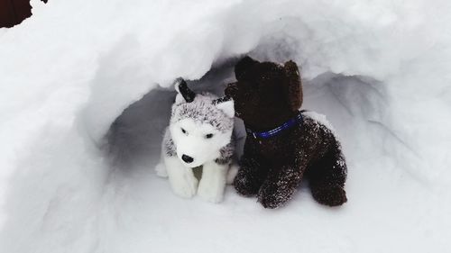 Stuffed toy husky and goldendoodle playing in snow