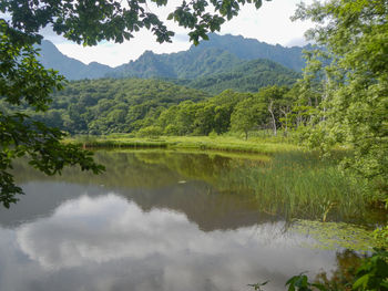 Reflection of trees in lake