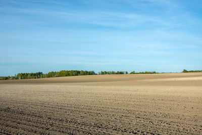 Scenic view of plowed field against sky