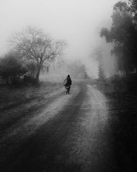 Man walking on road by trees against sky