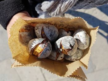 High angle view of shells on table