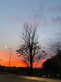Silhouette bare tree by street against sky at sunset