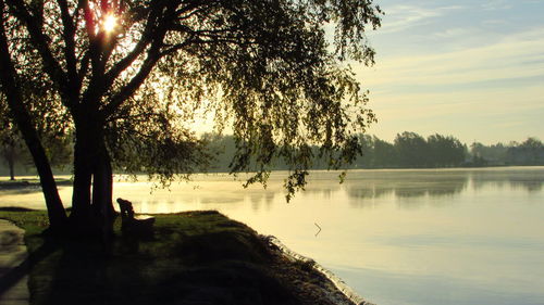 Silhouette trees by lake against sky