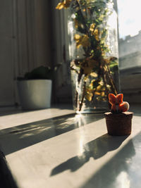 Close-up of potted plant on table
