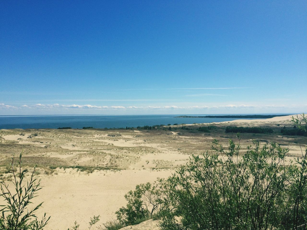 sea, horizon over water, beach, tranquil scene, water, tranquility, blue, scenics, sand, shore, beauty in nature, nature, sky, grass, copy space, clear sky, idyllic, plant, coastline, remote