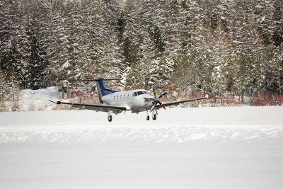 Bird flying over snow covered field
