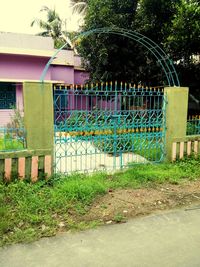 Plants growing by fence against building